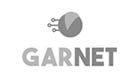 Garnet